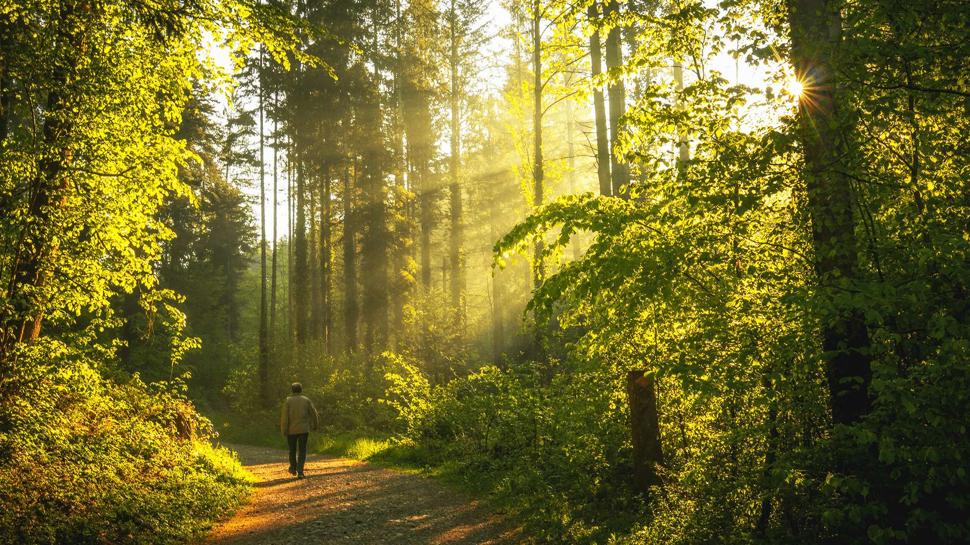 Hiking and Nature Walking Photo