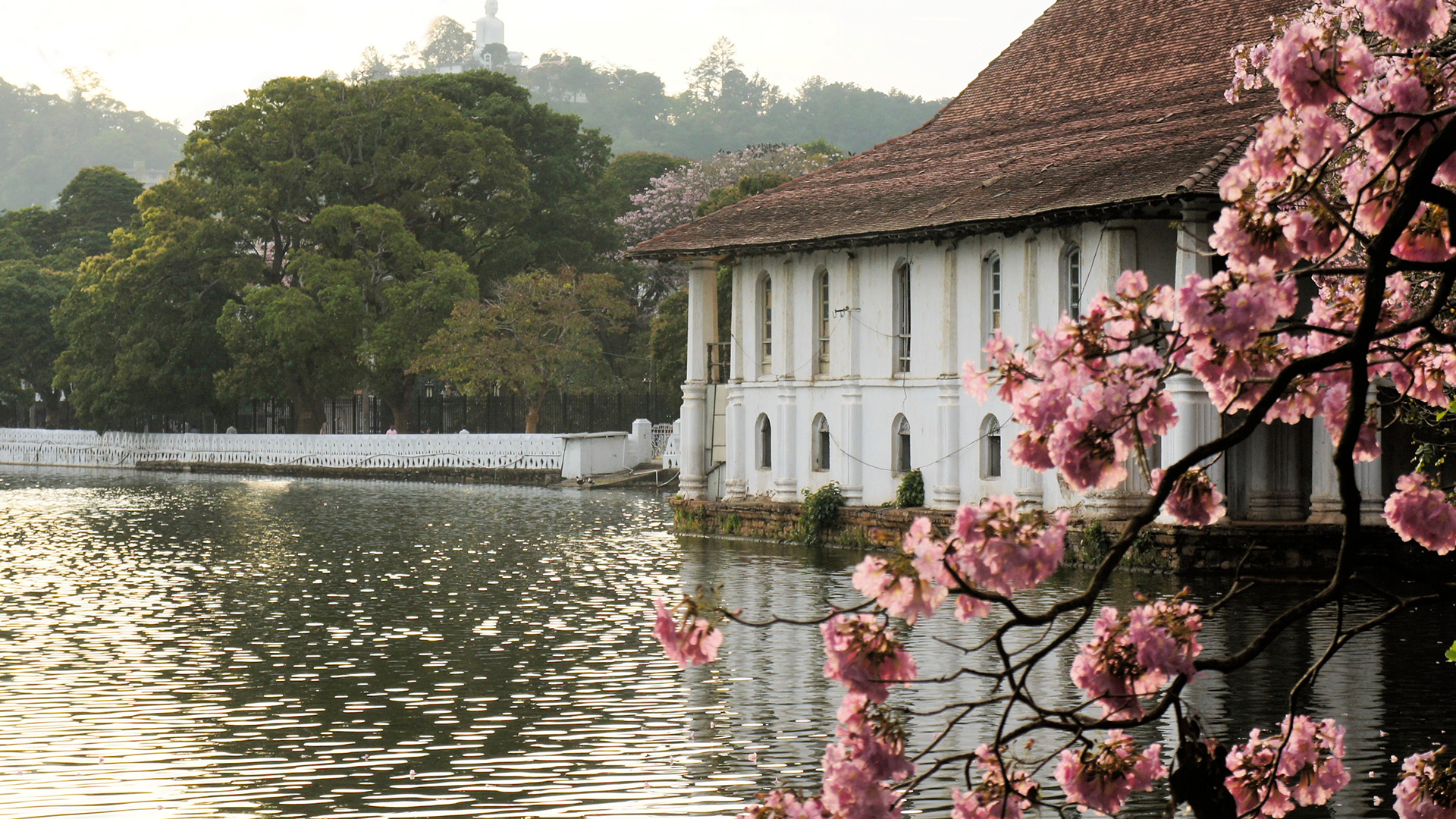 Kandy Image