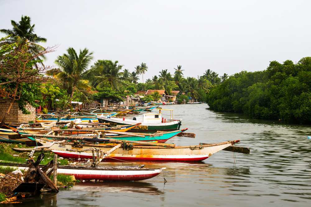 Negambo Image