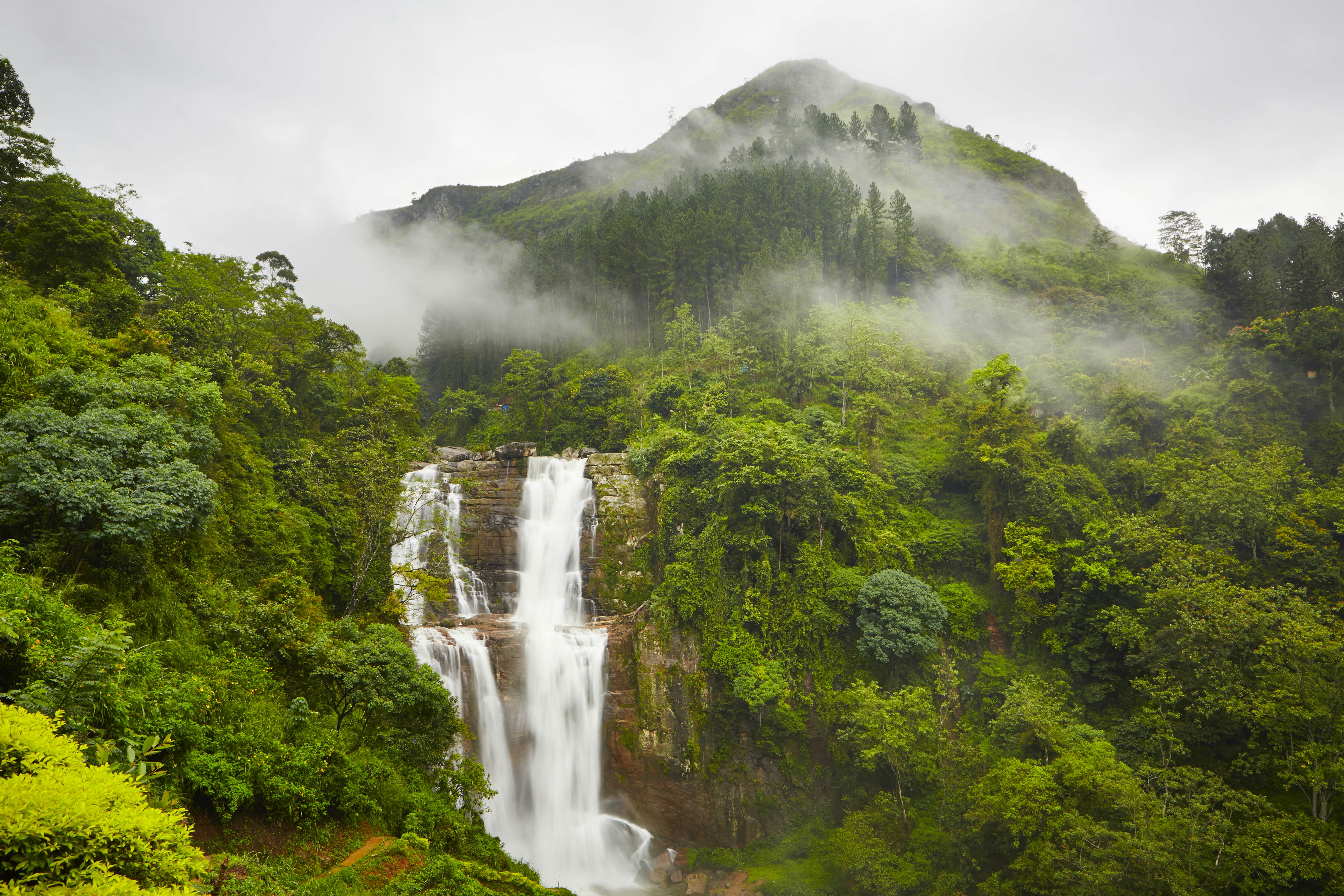 Nuwara Elliya Image