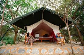 Yala Camping Photo