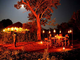 Yala Night Photo